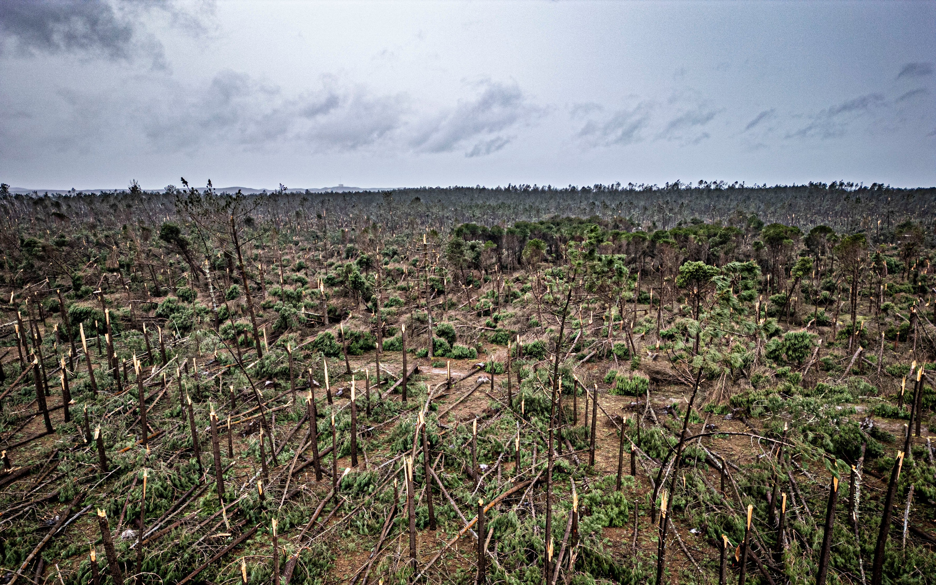 Bad weather: 20 million euro tender opened for agricultural modernisation projects following storms
