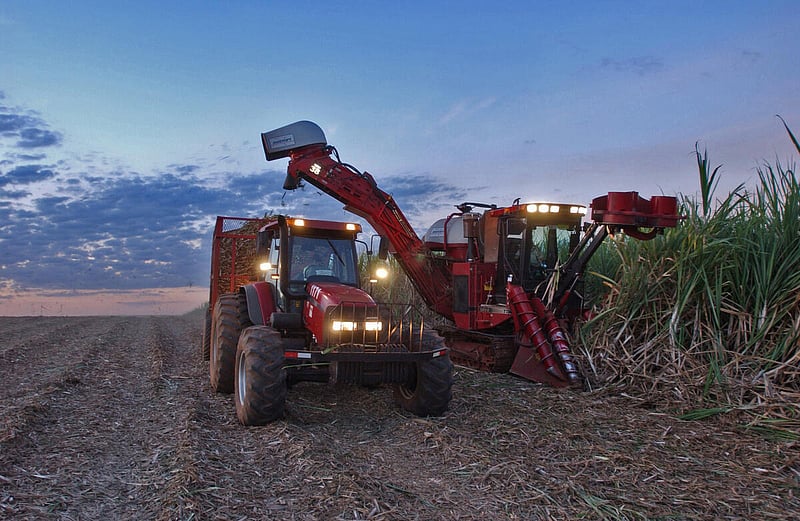 Global food prices rise as conflict impacts energy costs