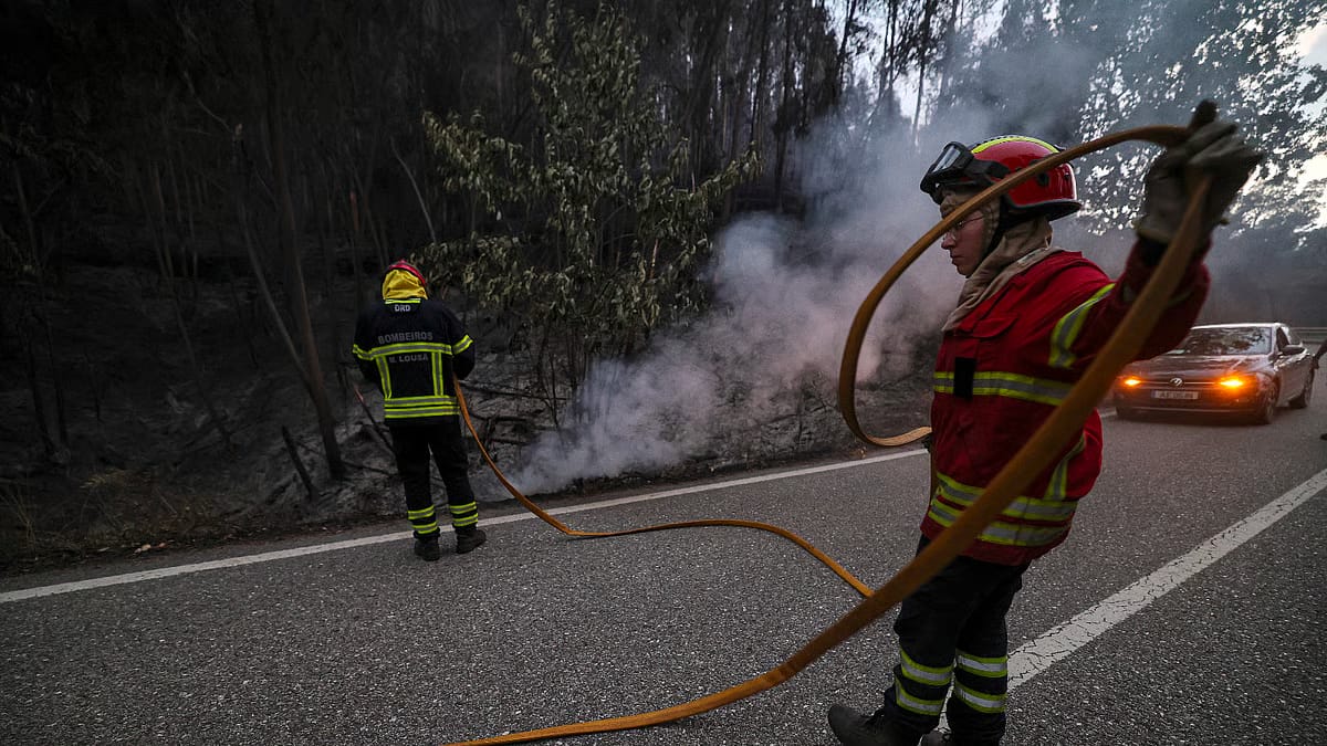 Fire in the Caramulo mountains under control. More than 100 personnel were involved in fighting the flames