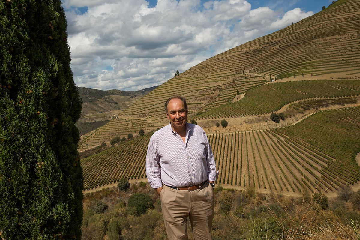 Granvinhos maintains growth, bucking the sector trend