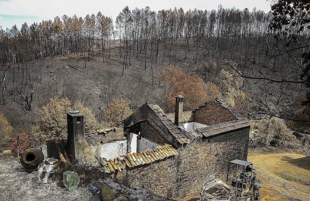 Pedrógão Grande: Association pays tribute to victims nine years after fires