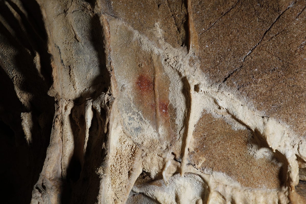 Portuguese team participates in world-first discovery of prehistoric DNA in cave art