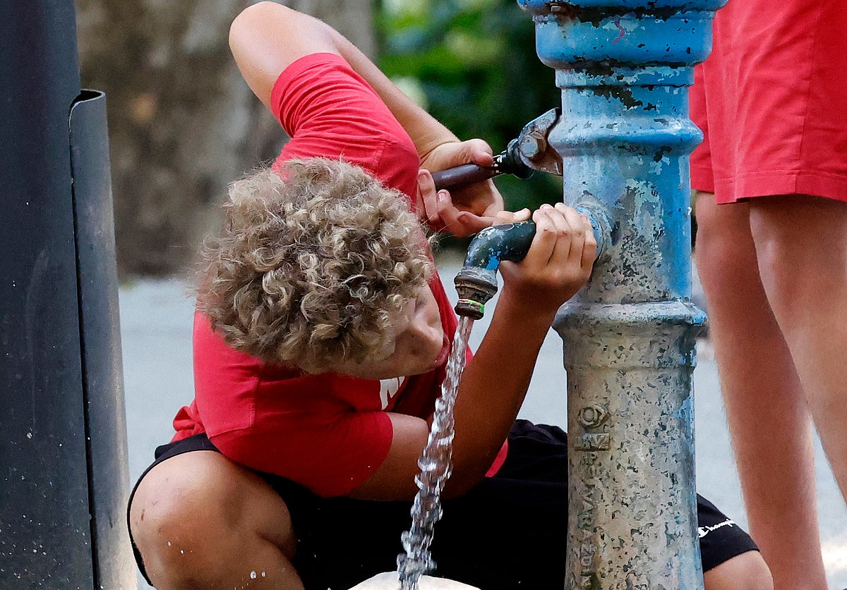 Temperatures to exceed 40ºC as new heatwave arrives