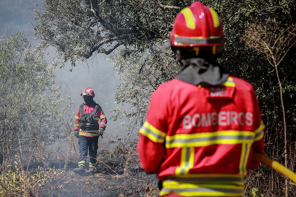 Heatwave week begins with eight municipalities at maximum wildfire risk