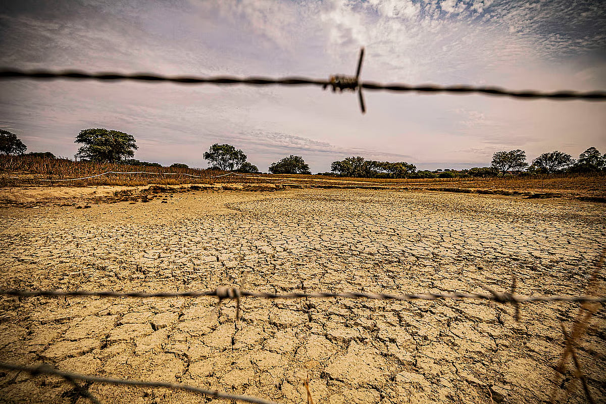 ONU estima intensificação do El Niño nos próximos meses e alerta para aumento da probabilidade de fenómenos extremos
