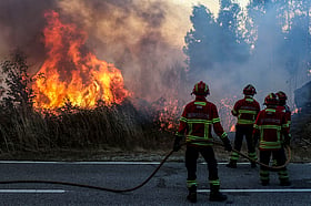 Atualidade incêndios fizeram nove feridos. A25 esteve cortada. Dgs elevou nível de risco para a saúde 2026 doc. 20260702. 47395592. Pn5348260702 atualidade autoestrada a 25 reabriu a autoestrada 25 (a25) que liga viseu e aveiro, cortada desde as 19:20 entre os nós de... Iustitia. Bg incêndios fizeram nove feridos. A25 esteve cortada. Dgs elevou nível de risco para a saúde 2026 2026-07-03 07:45:15 justiça - iustitia. Bg atualidade