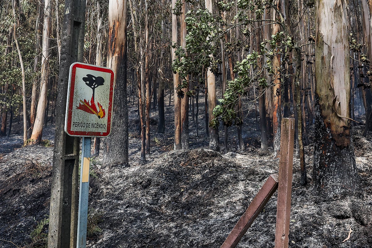 Reacendimentos no fogo de Vouzela não dão tréguas aos bombeiros