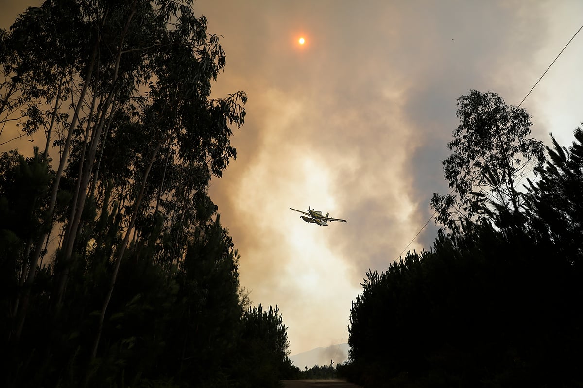 Luís Neves admite que desorganização da floresta contribui para os incêndios