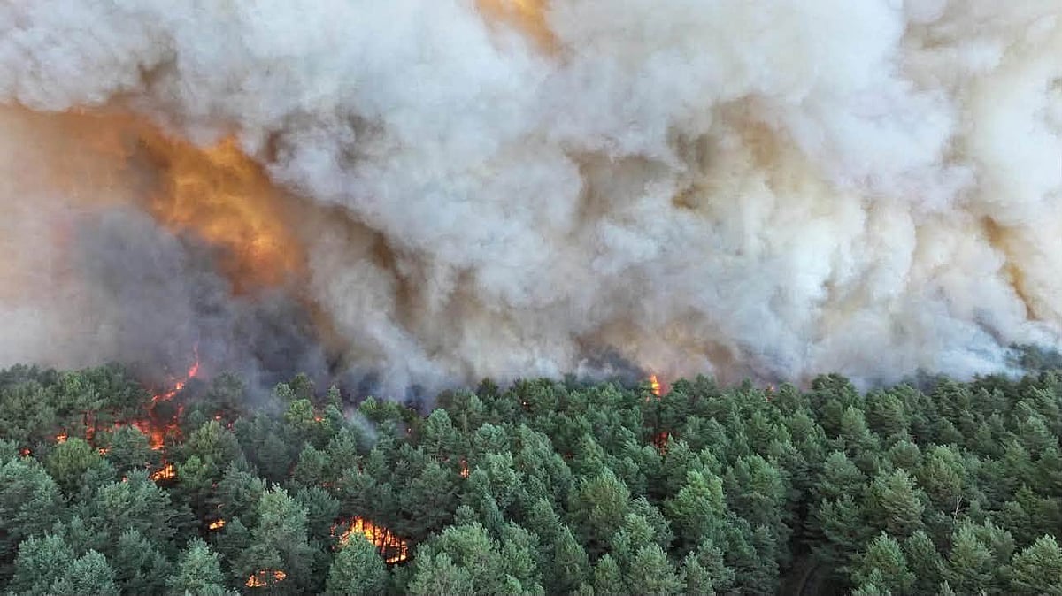 Incêndio em Fontainebleau, a sul de Paris, com "proporções excecionais"