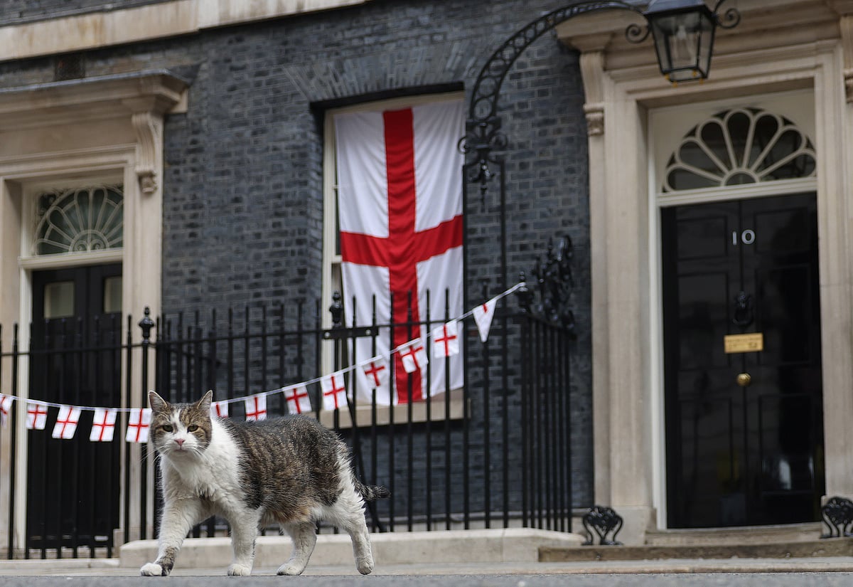 As lições do gato Larry após seis primeiros-ministros