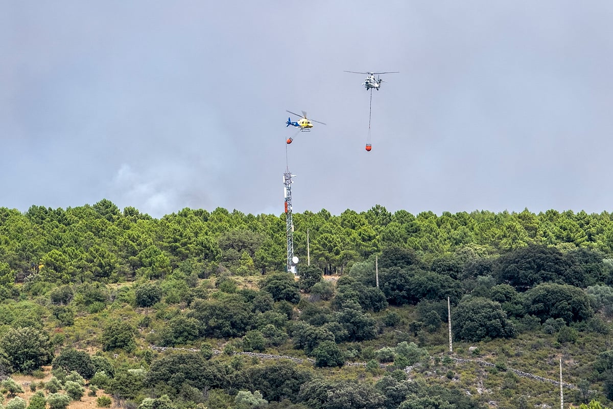 Fogo em ao norte de Madrid a obriga à retirada de centenas de pessoas e destrói mais de 12 mil hectares