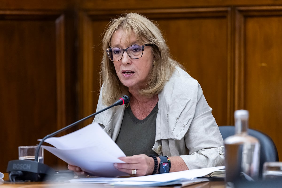 Ministra do Trabalho diz que alargamento da licença parental não é sustentável
