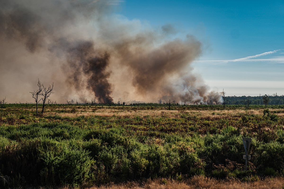 Incêndios florestais no sudoeste de França obrigam a retirar 110 mil pessoas