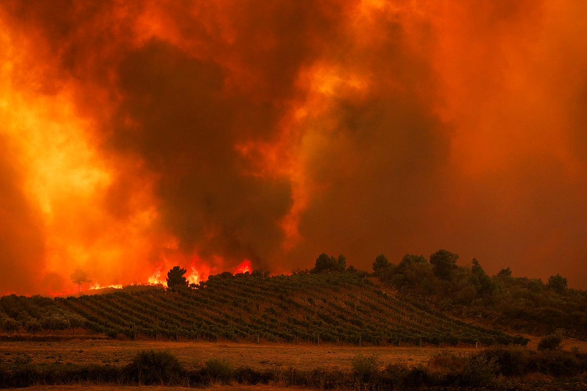 About 80% of the Valpaços fire perimeter is under control