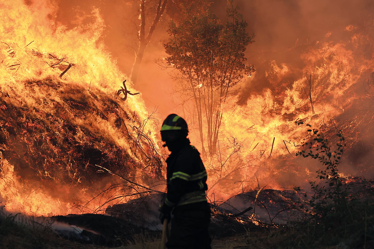 Structural reforms put to the fire test