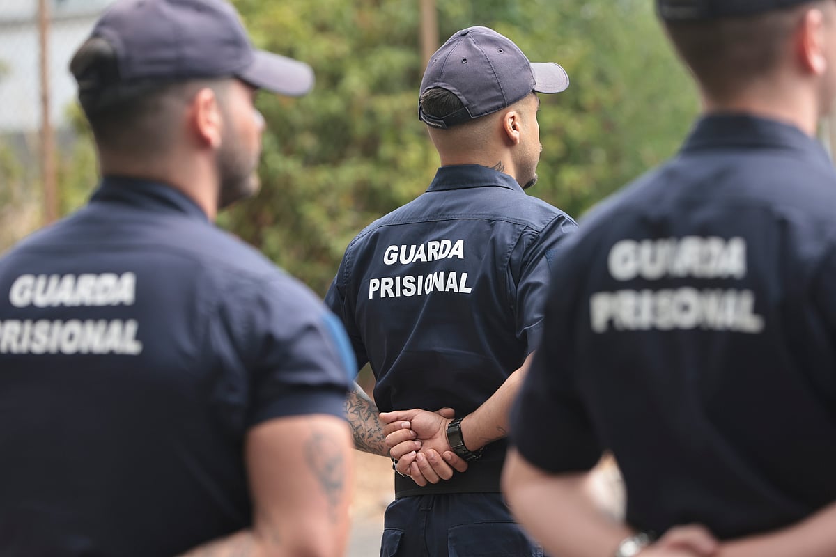 Número de agressores em prisão preventiva por violência doméstica atinge máximo