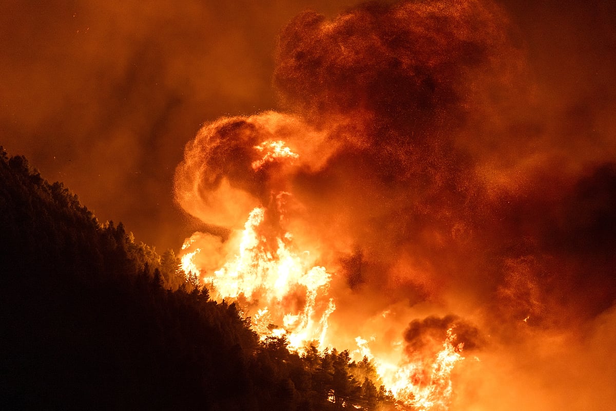 European Commission prepares new strategy following summer of extreme heat, droughts and wildfires