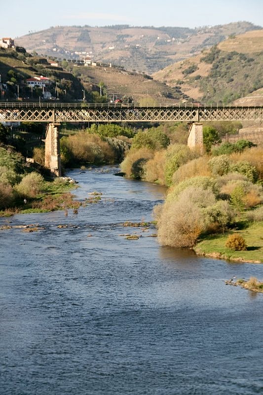 APA investigates causes of fish deaths in the Corgo River in Vila Real