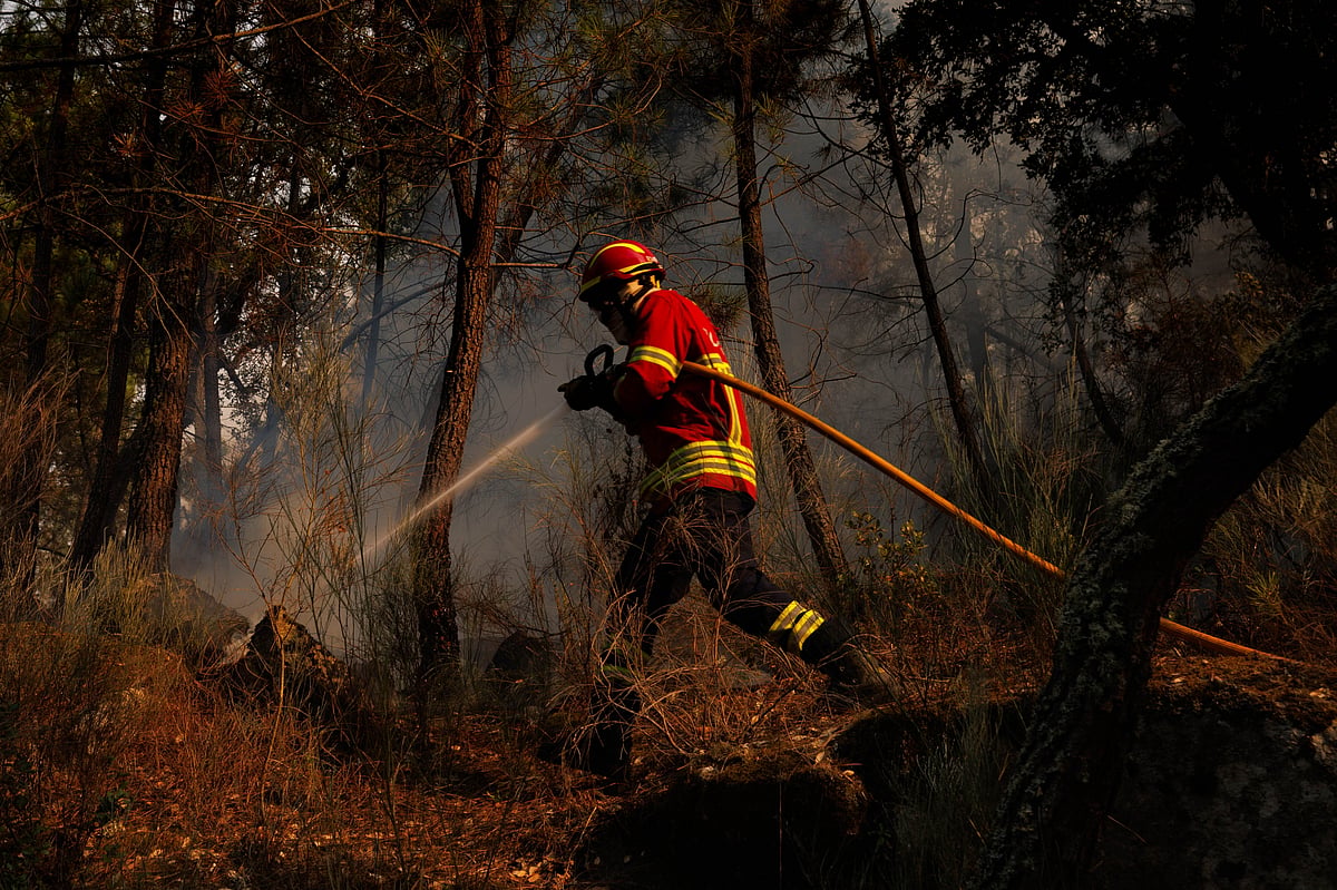 Fire burns 2,000 hectares of land in Torre de Moncorvo