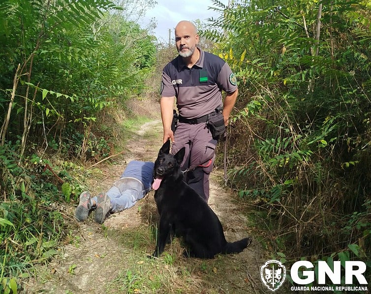 GNR K-9 unit locates 78-year-old man missing since Monday