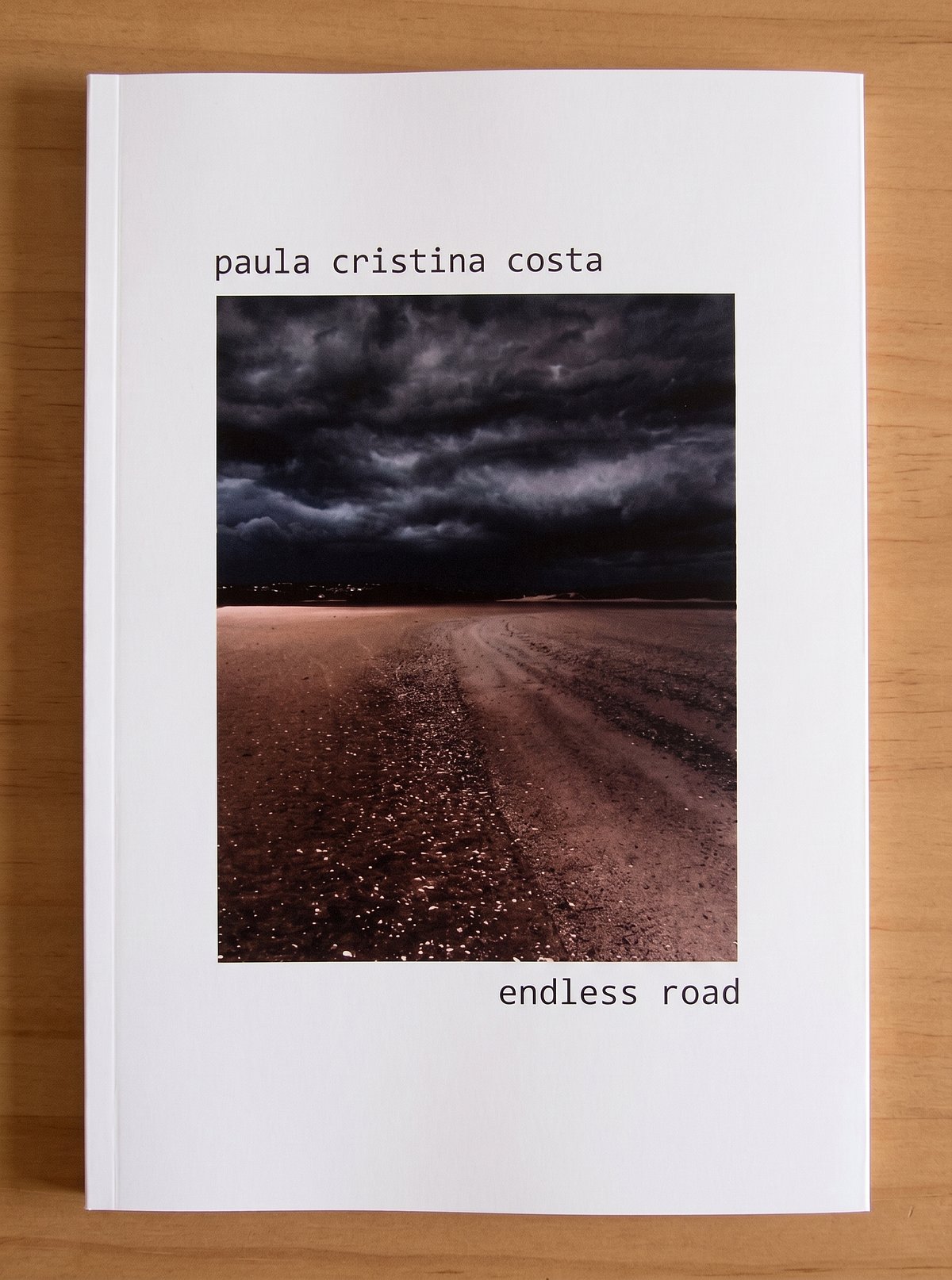 Paula Cristina Costa or the figurations of the poem