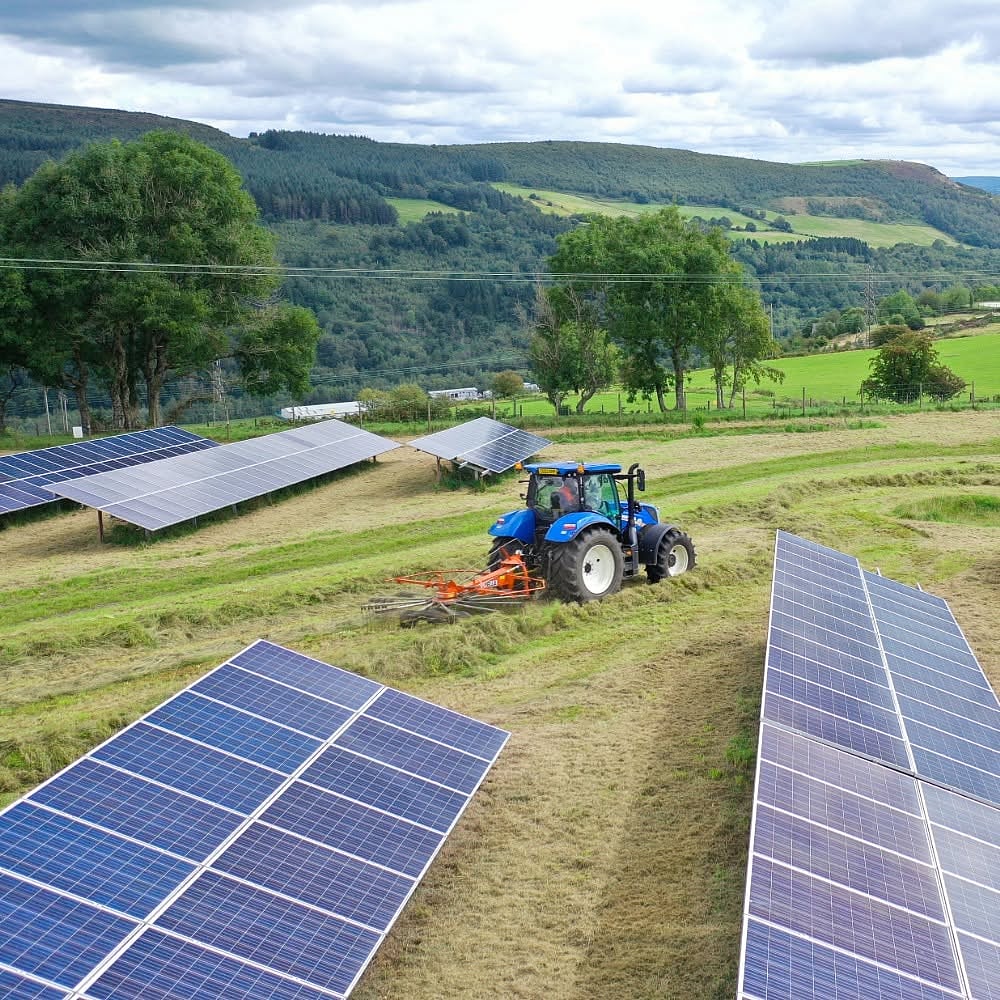 Amended project reduces Sophia solar plant capacity by 34% following negative impact assessment
