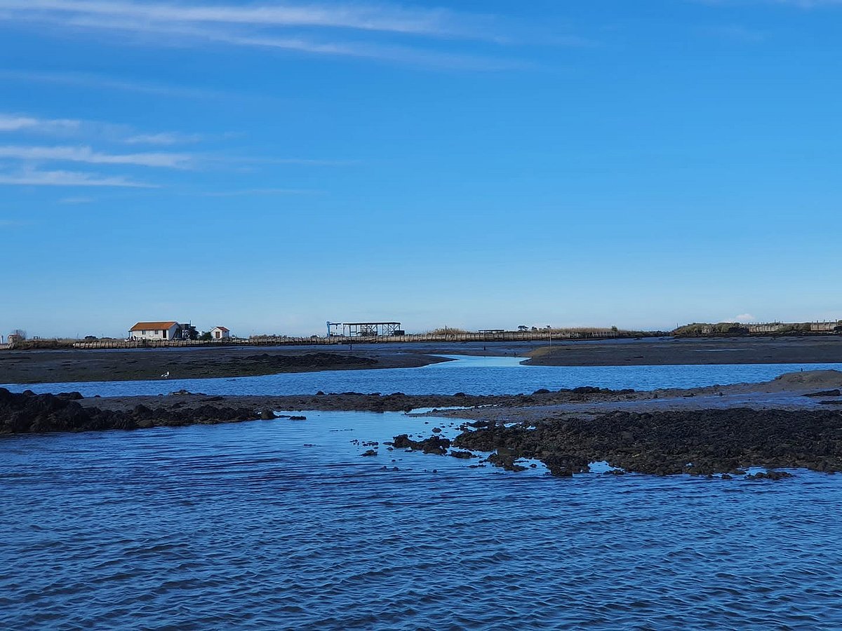 Private island in the Aveiro estuary returns to auction for 690,000 euros, 60,000 less than before