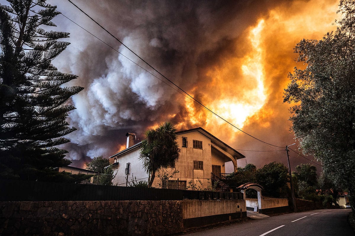 Embaixadores do Pacto Climático apelam aos municípios para protegerem populações dos incêndios