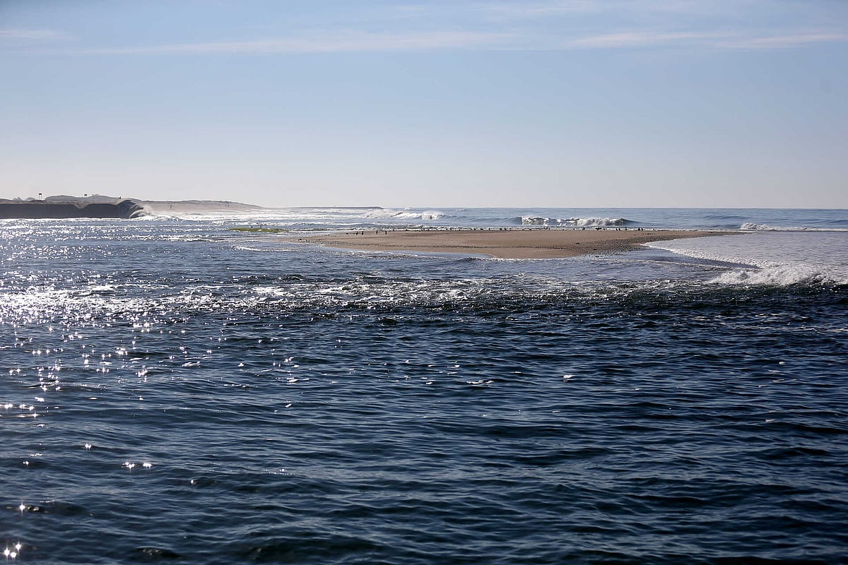 AICEP and Fórum Oceano sign agreement to take maritime companies to foreign markets