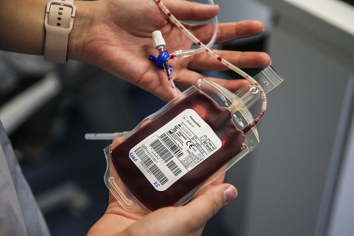 World Blood Donor Day: Amadora-Sintra Local Health Unit hosts solidarity marathon to encourage donations