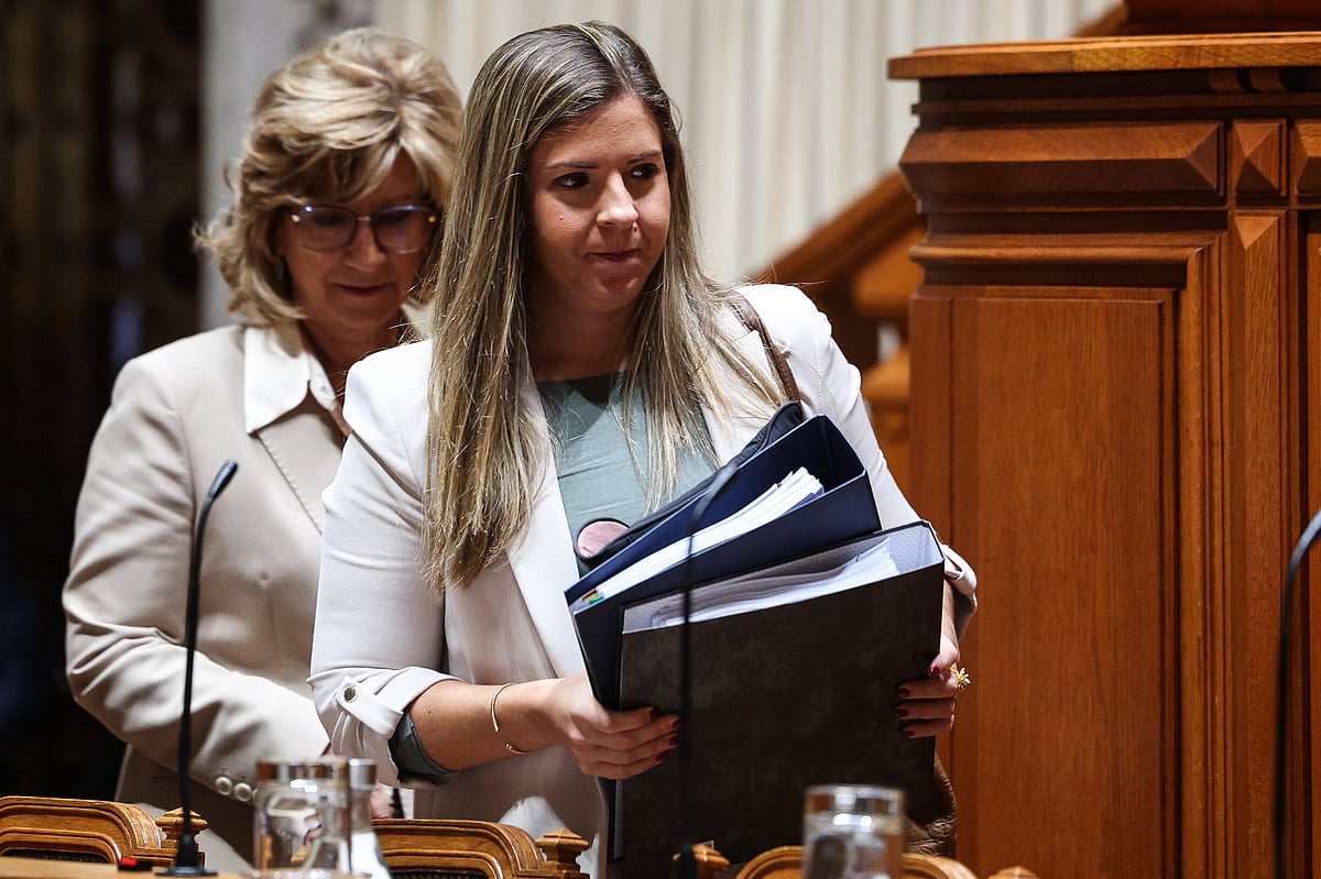 Parliament approves hearing of the Minister of Culture regarding the arts support model