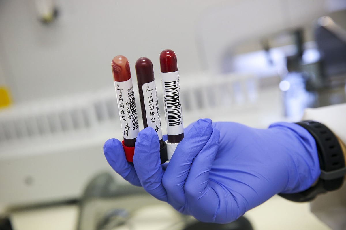Blood technician arrested by the PJ suspended from duties and banned from entering Coimbra by the court