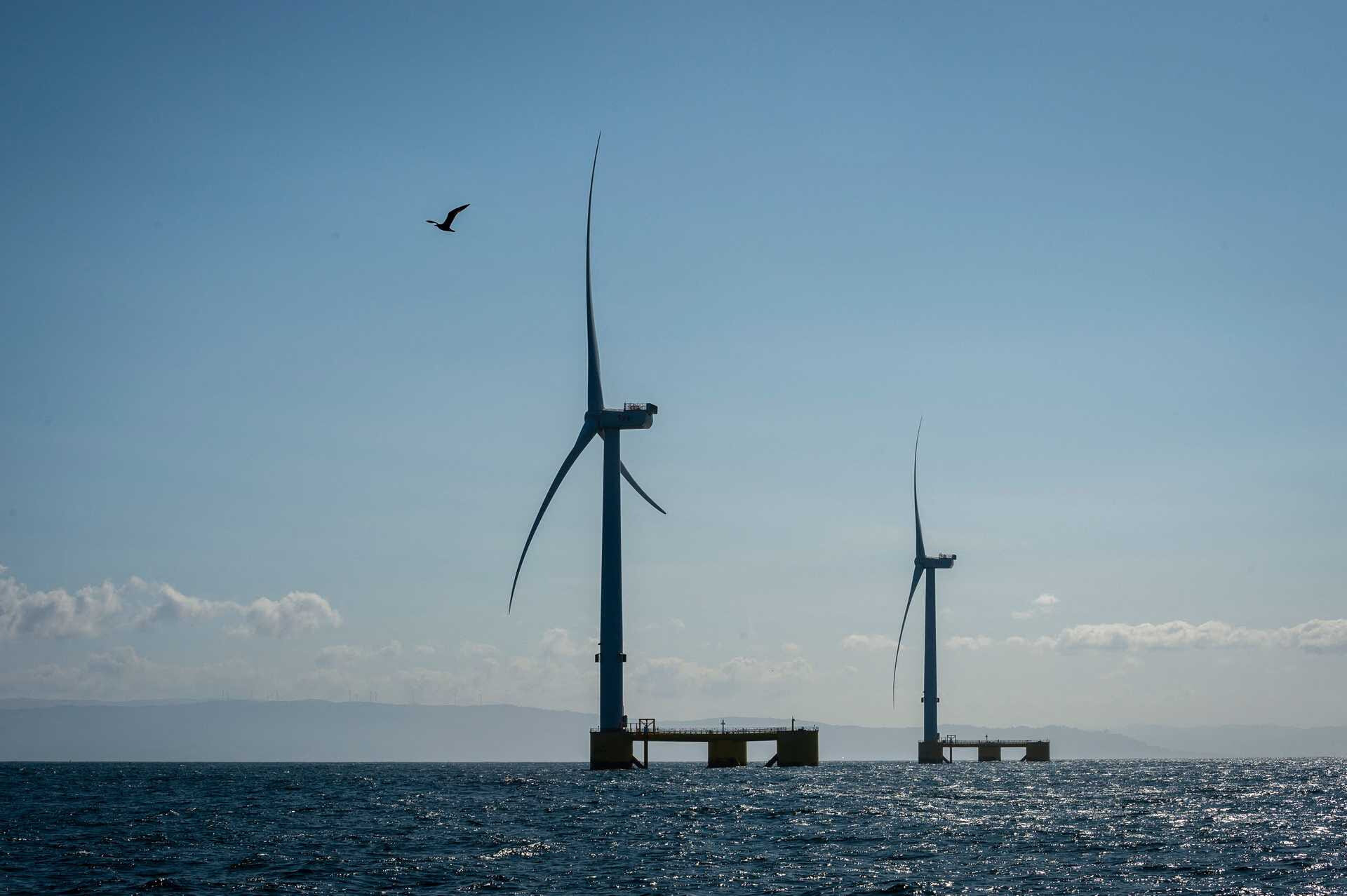 Renewable energy accounts for 91% of electricity produced by EDP in the first quarter
