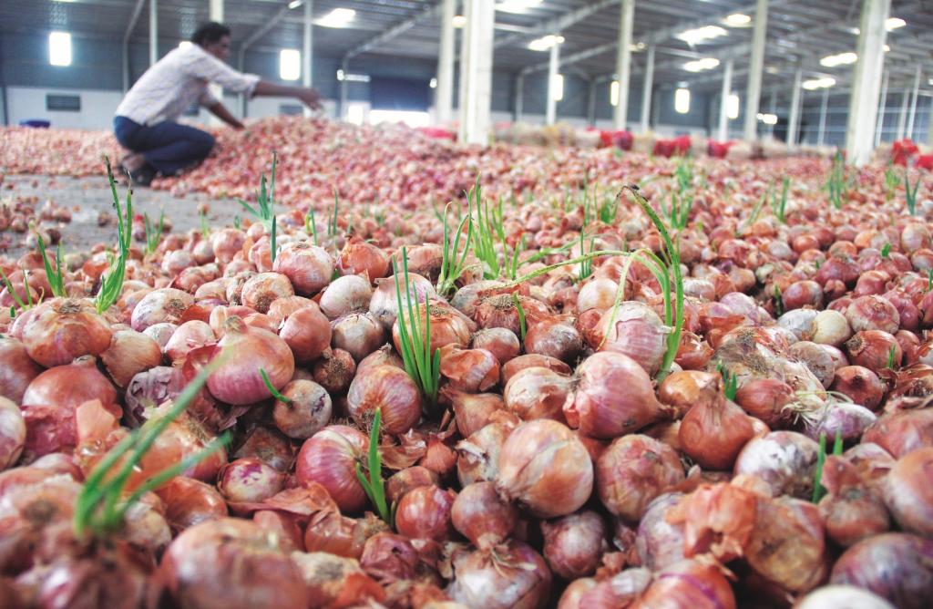 फाइल फोटो: सीएसई