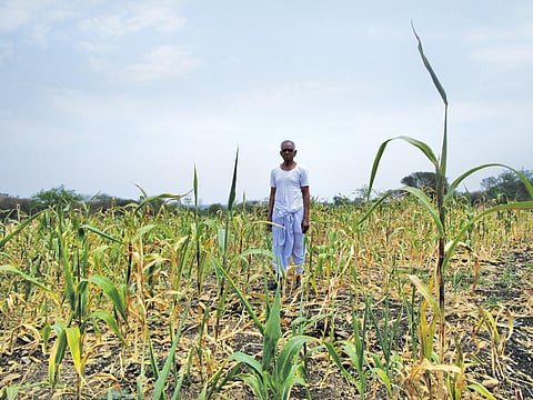 फाइल फोटो: निधि जामवाल