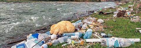  देहरादून स्थित संस्था गति फाउंडेशन ने राज्य के दो बड़े शहरों में “ट्विन सिटी ब्रांड ऑडिट” नाम से एक अभियान चलाया. Credit: Getty Images