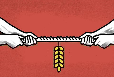 संजीत / सीएसई