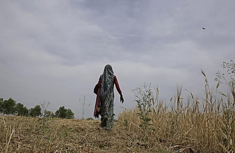 Photo: Vikas Choudhary 