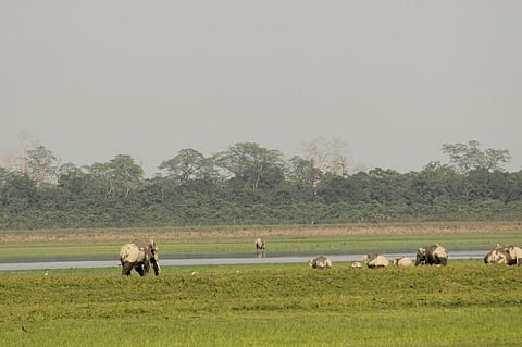 Photo: Kumar Sambhav Shrivastava