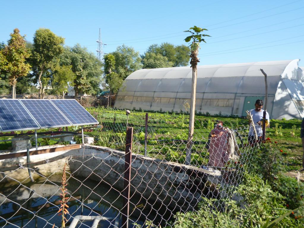 Photo : Ankur Paliwal