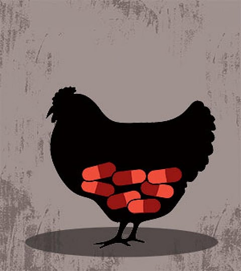 तारिक अजीज/सीएसई 