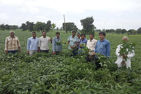 सोयाबीन की खराब फसल दिखाते किसान। फोटो: मनीष चंद्र मिश्रा 