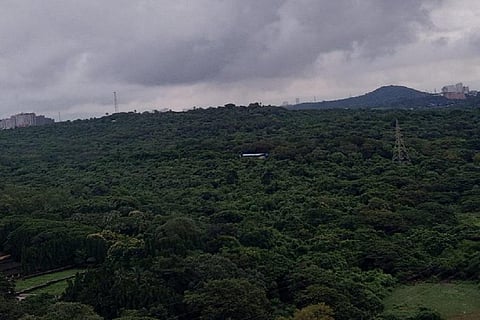 Photo: @ConserveAarey