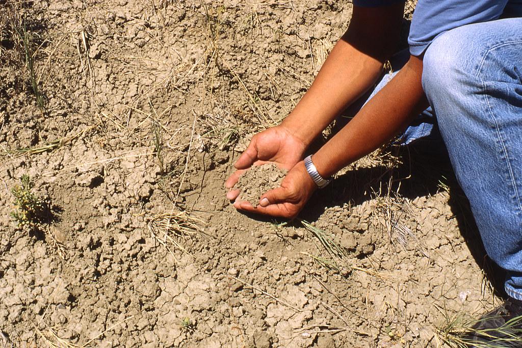 वैज्ञानिकों द्वारा बनाए गए सेंसर से मि‌ट्टी की जांच करना हो जाएगा। फोटो: क्रिएटिव कॉमन्स 