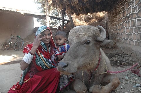 File Photo: Samrat Mukharjee