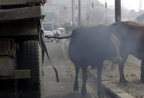 Photo: Vikas Choudhary