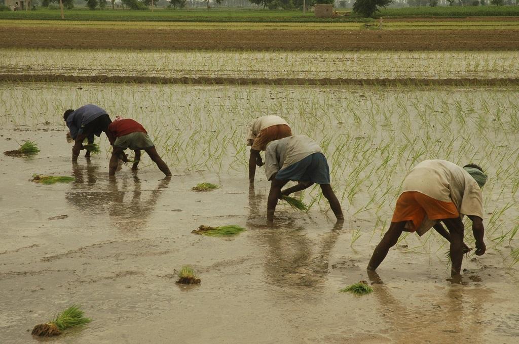 Photo: Agnimirh basu