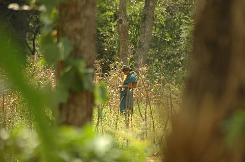 Photo: Agnimirh Basu