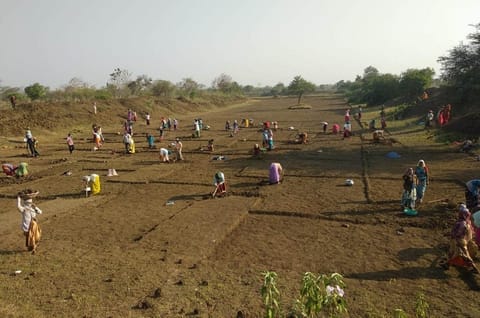 छत्तीसगढ़ के दुर्ग जिले में सोशल डिस्टेंसिंग के साथ मनरेगा का काम चल रहा है। फोटो: मनीष चंद्र मिश्र