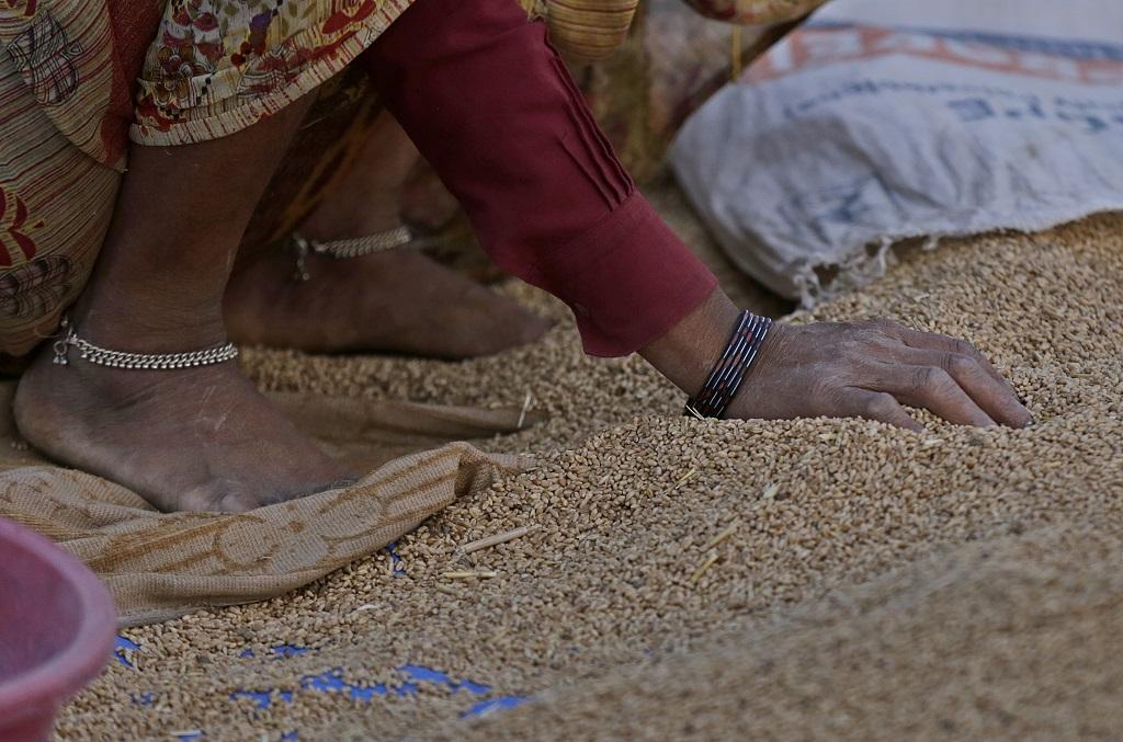 फोटो: विकास चौधरी 